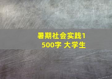 暑期社会实践1500字 大学生